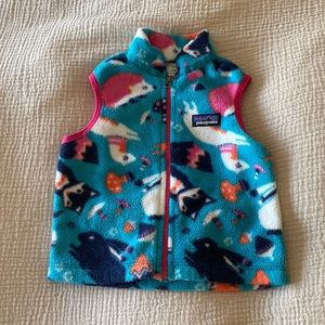 Patagonia Synchilla Vest